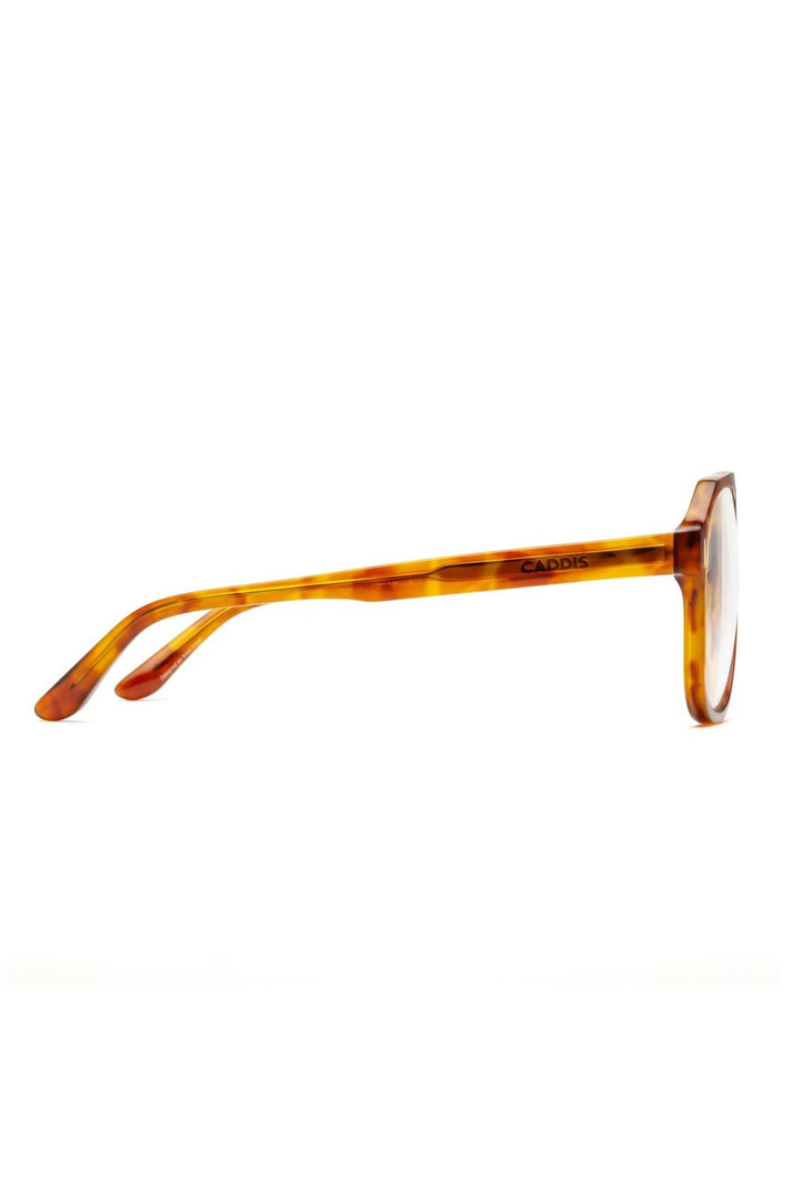 RCA - POLISHED MAPLE TORT