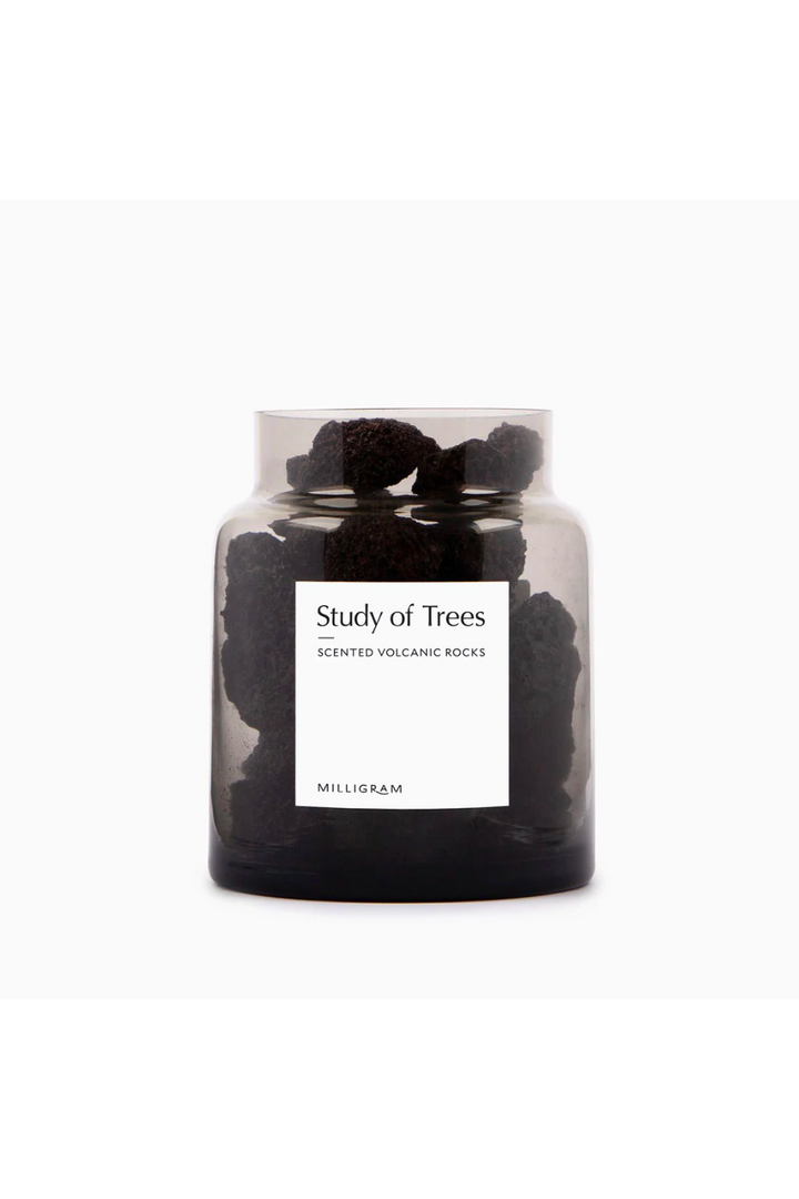 Milligram Scented Volcanic Rock Set - Study of Trees