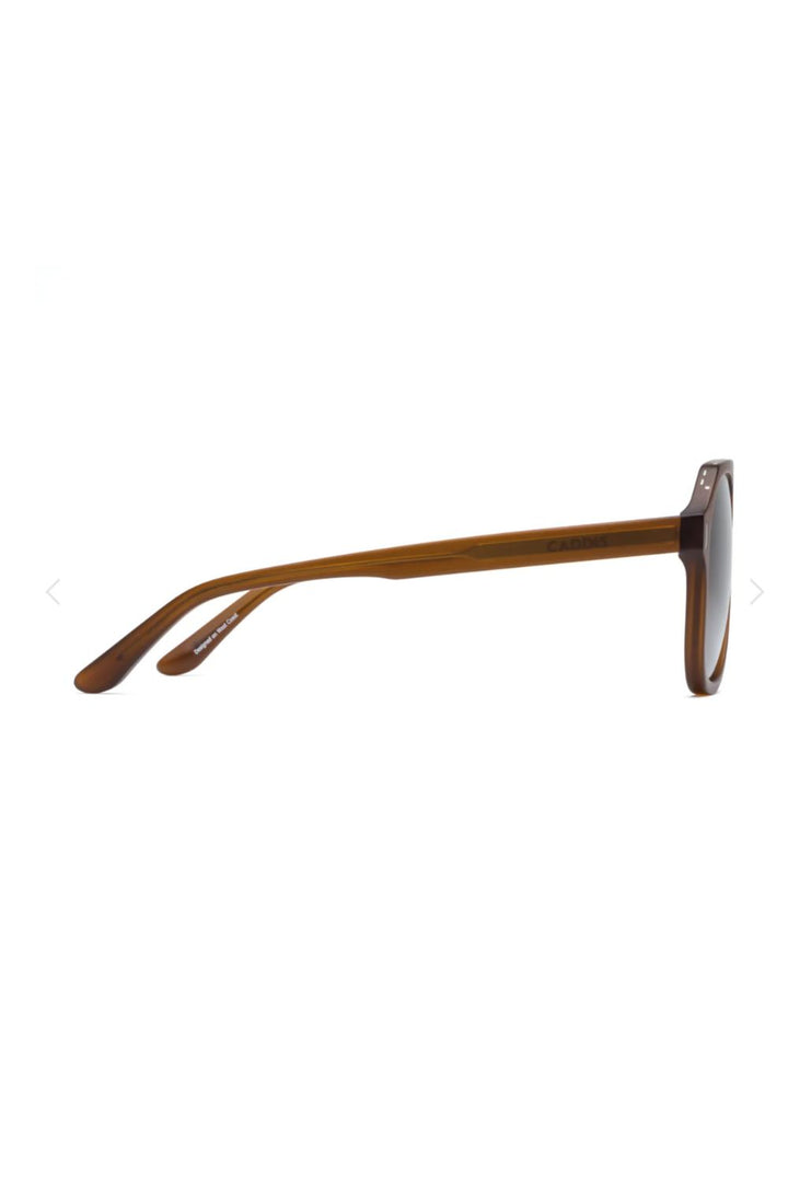 RCA Sunglasses - Gopher