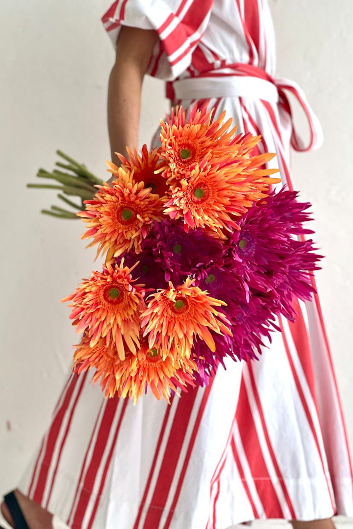Gerbera Spider-Fuschia