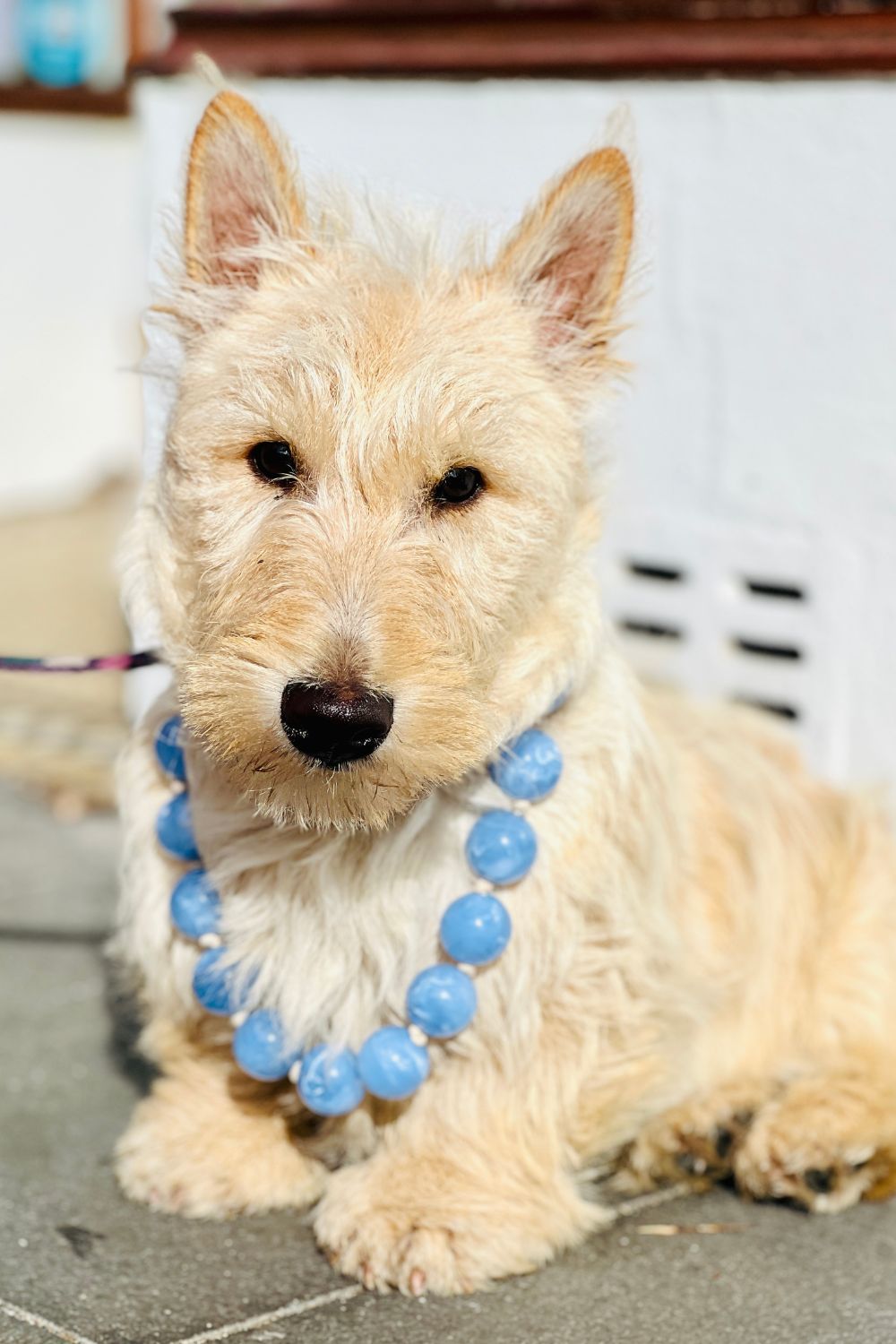 Bobble Necklace -Baby Blue