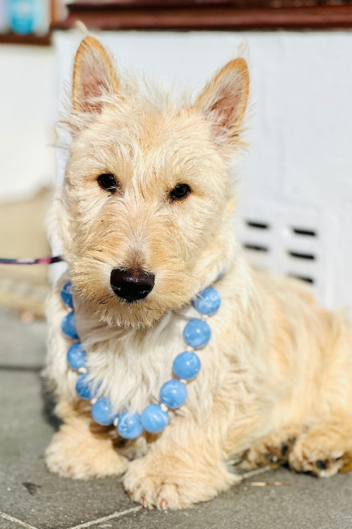 Bobble Necklace -Baby Blue