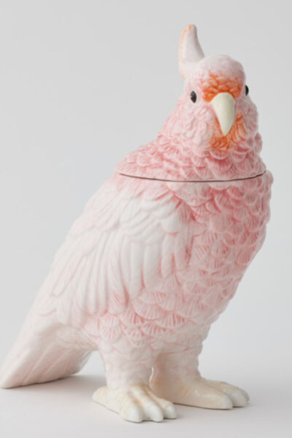 Pink Polly Cockatoo
