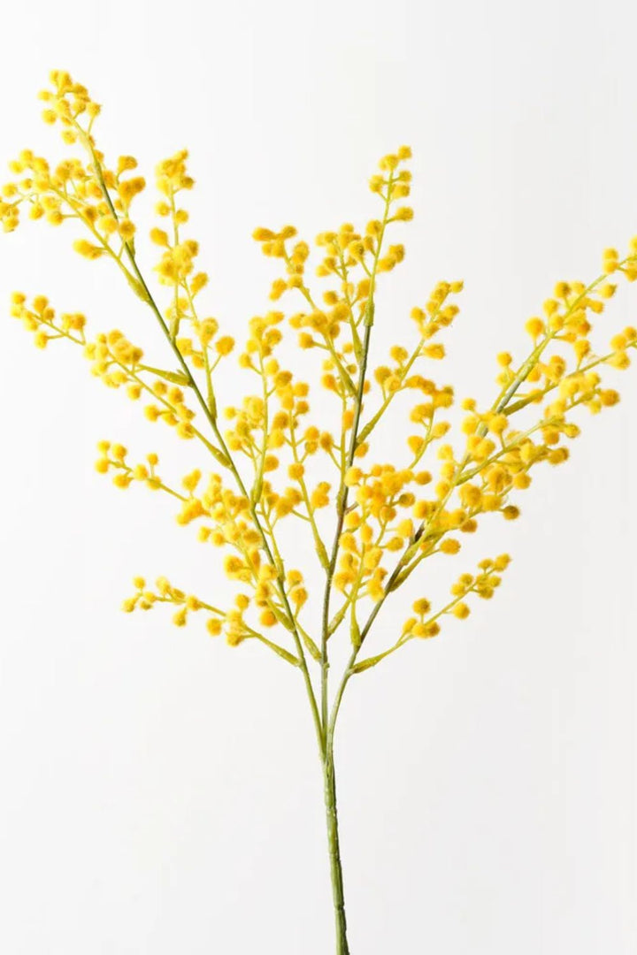 Wattle Spray