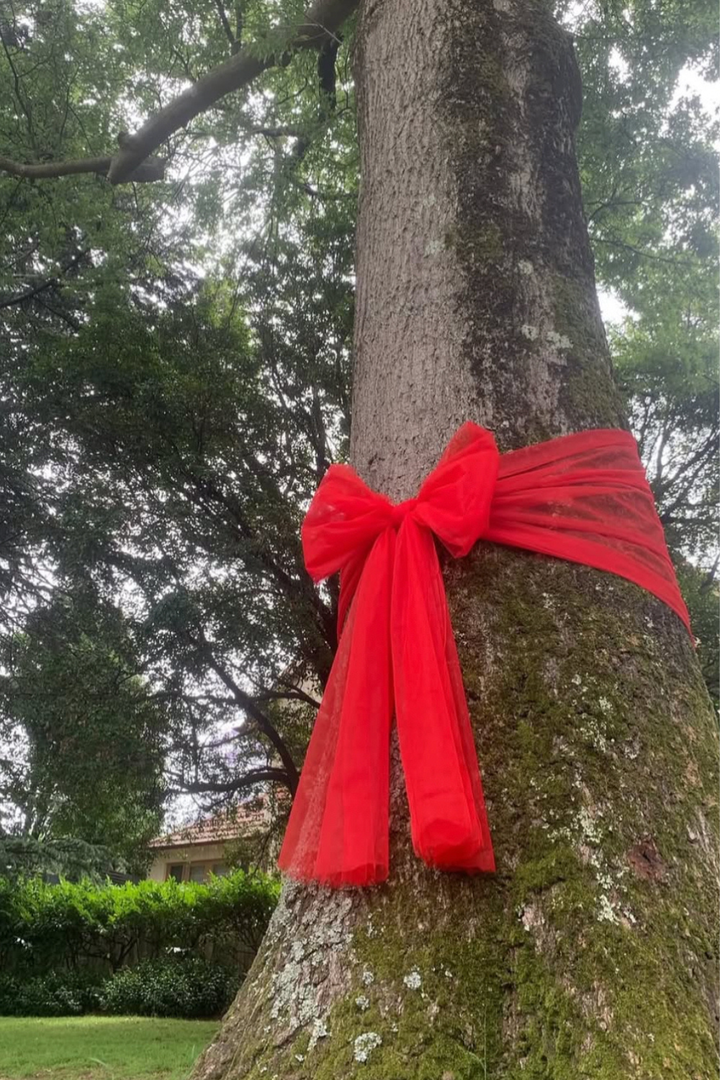 BIG RED TREE BOWS
