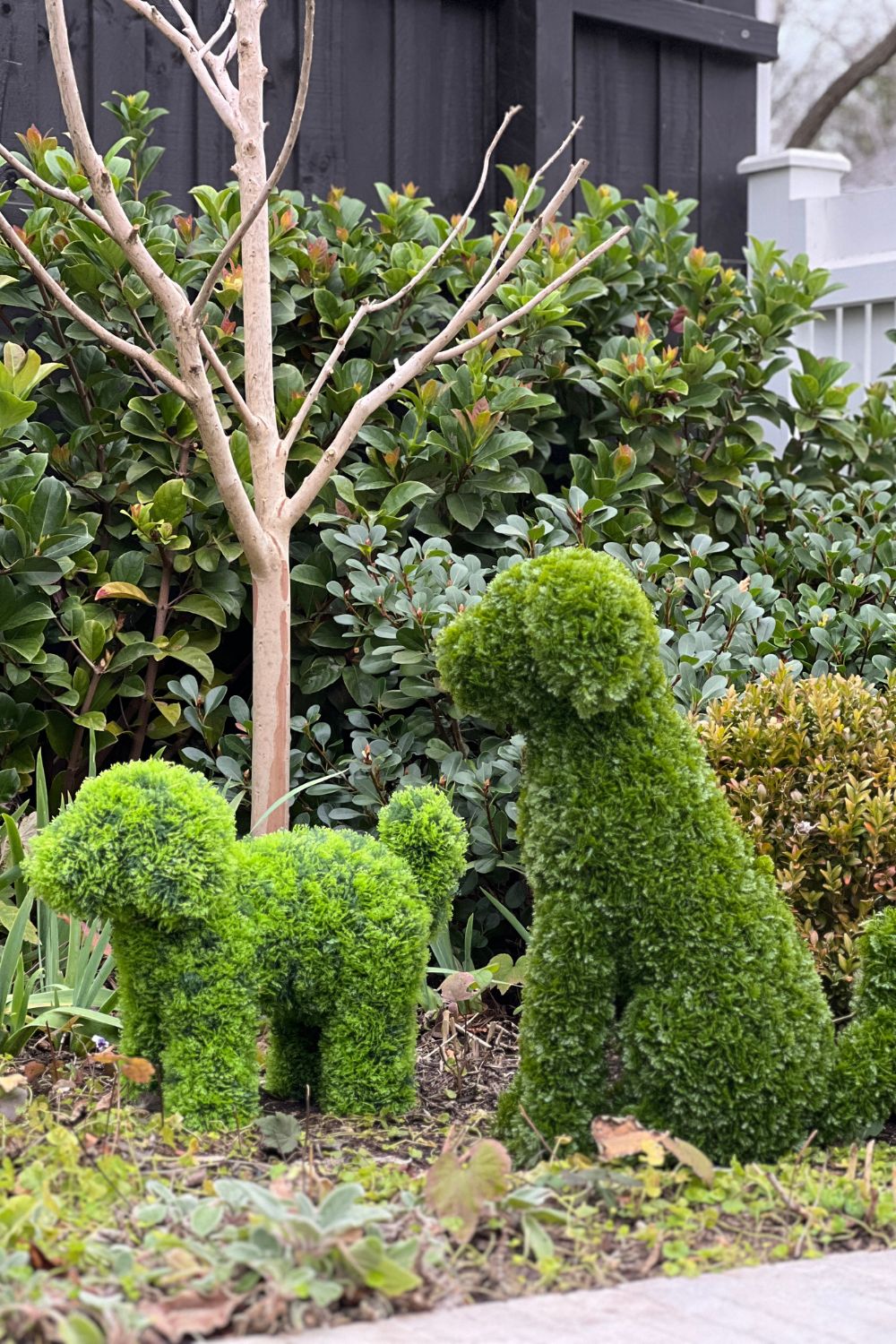 MAX Topiary Cypress Dog (UV Treated) - Green