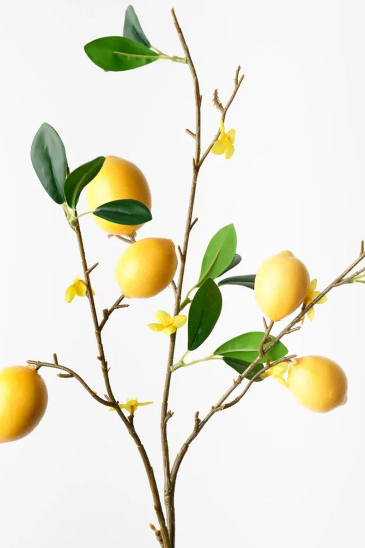 Lemon Spray - Crate Expectations