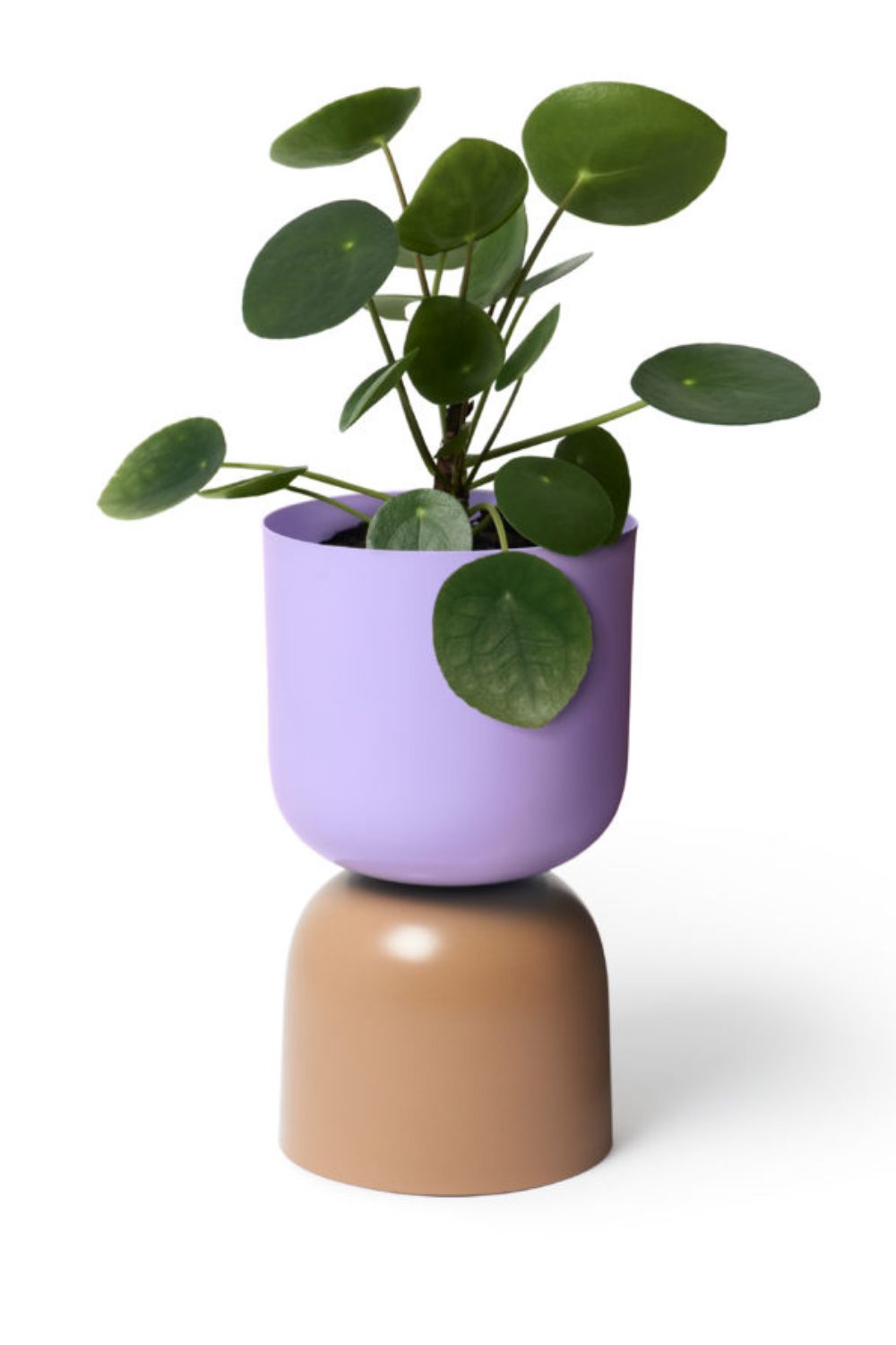 Tone Planter Lilac and Sorrel