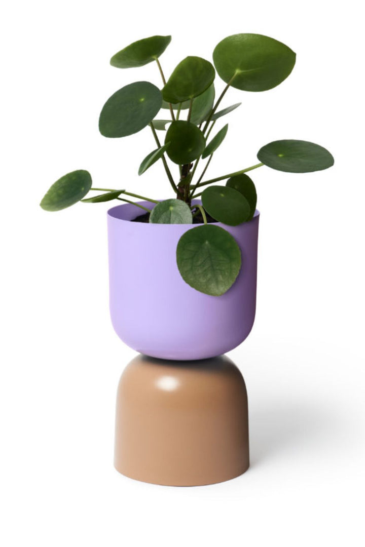 Tone Planter Lilac and Sorrel