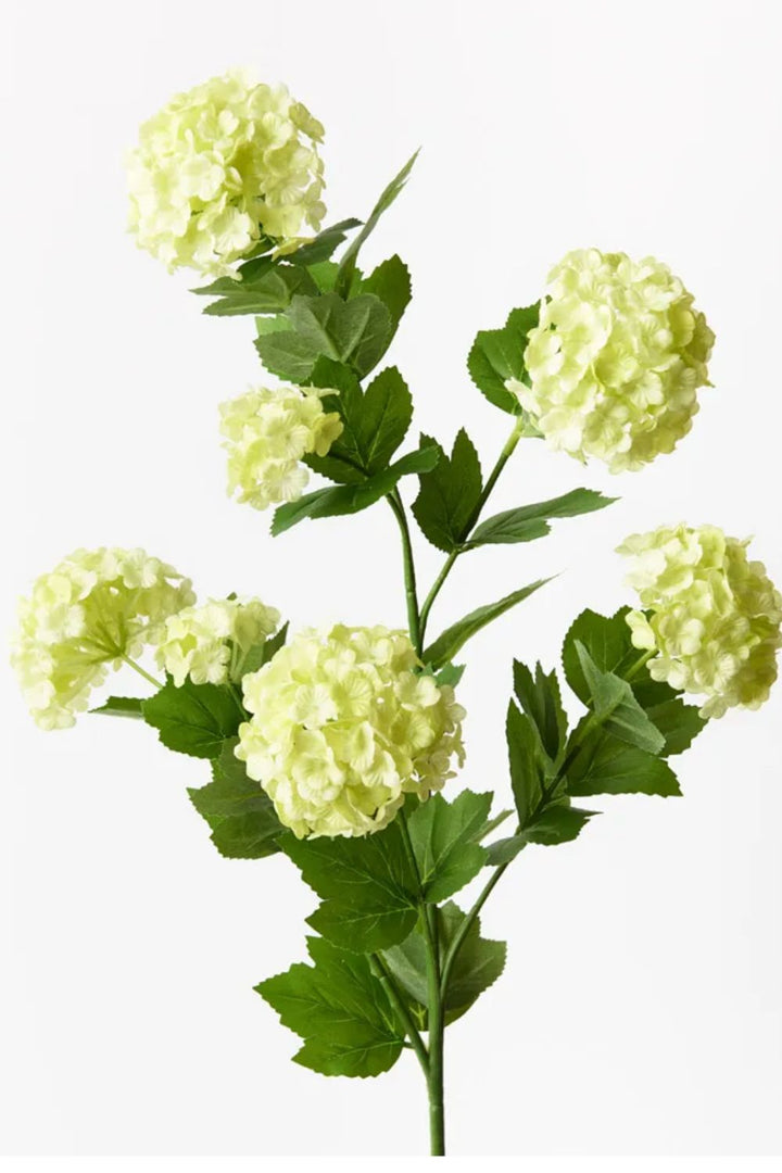 Snowball Spray Light Green - Crate Expectations