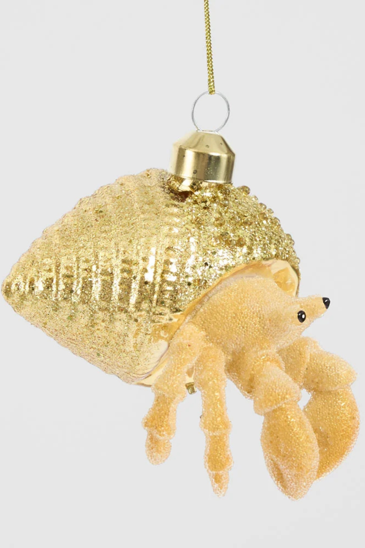 Hermit Crab Decoration