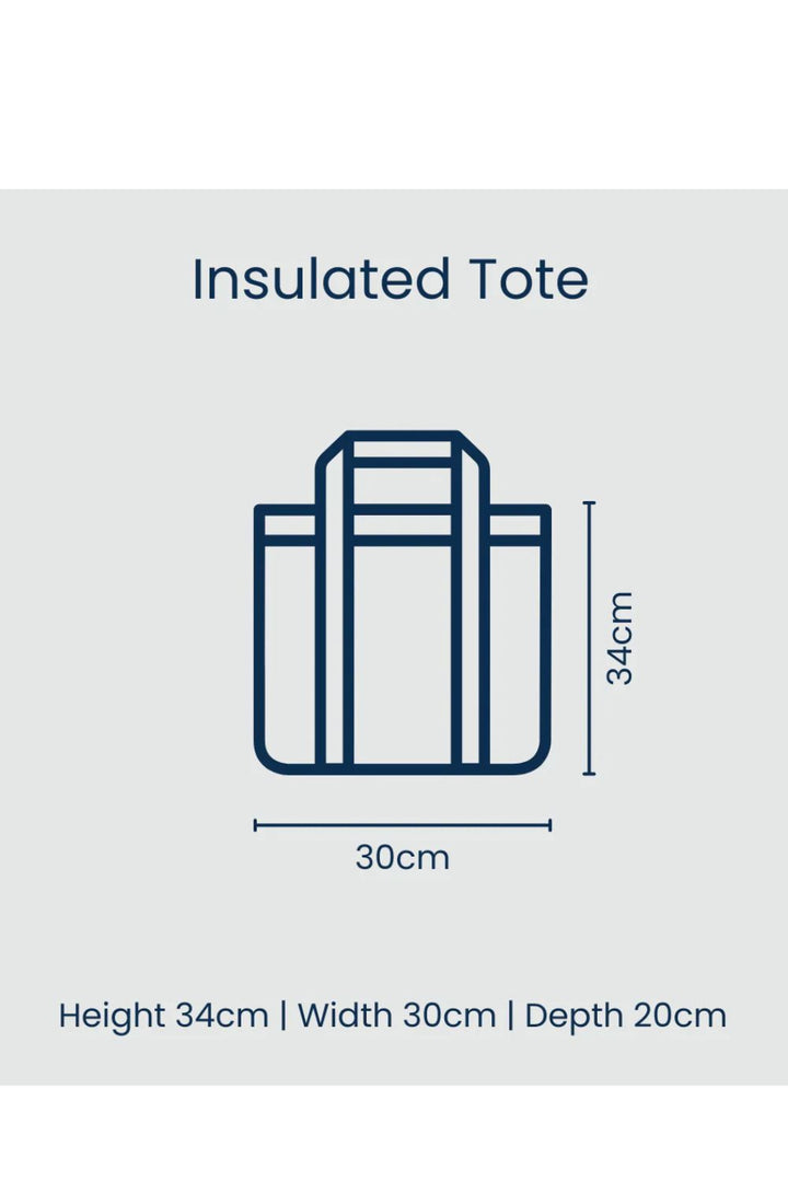 Red Blue Stripe Medium Insulated Tote