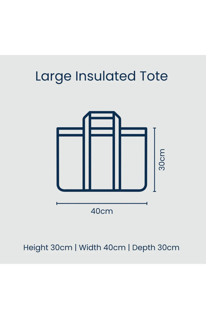 Red Blue Stripe Large Insulated Tote