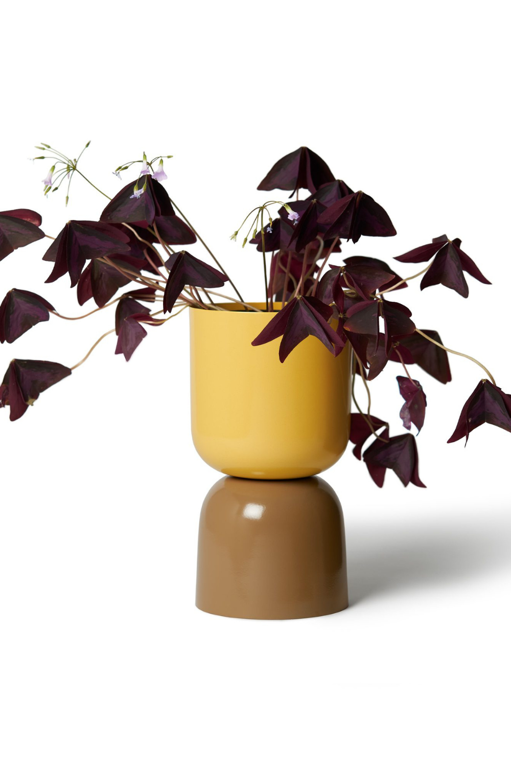 Tone Planter Mustard and Bark