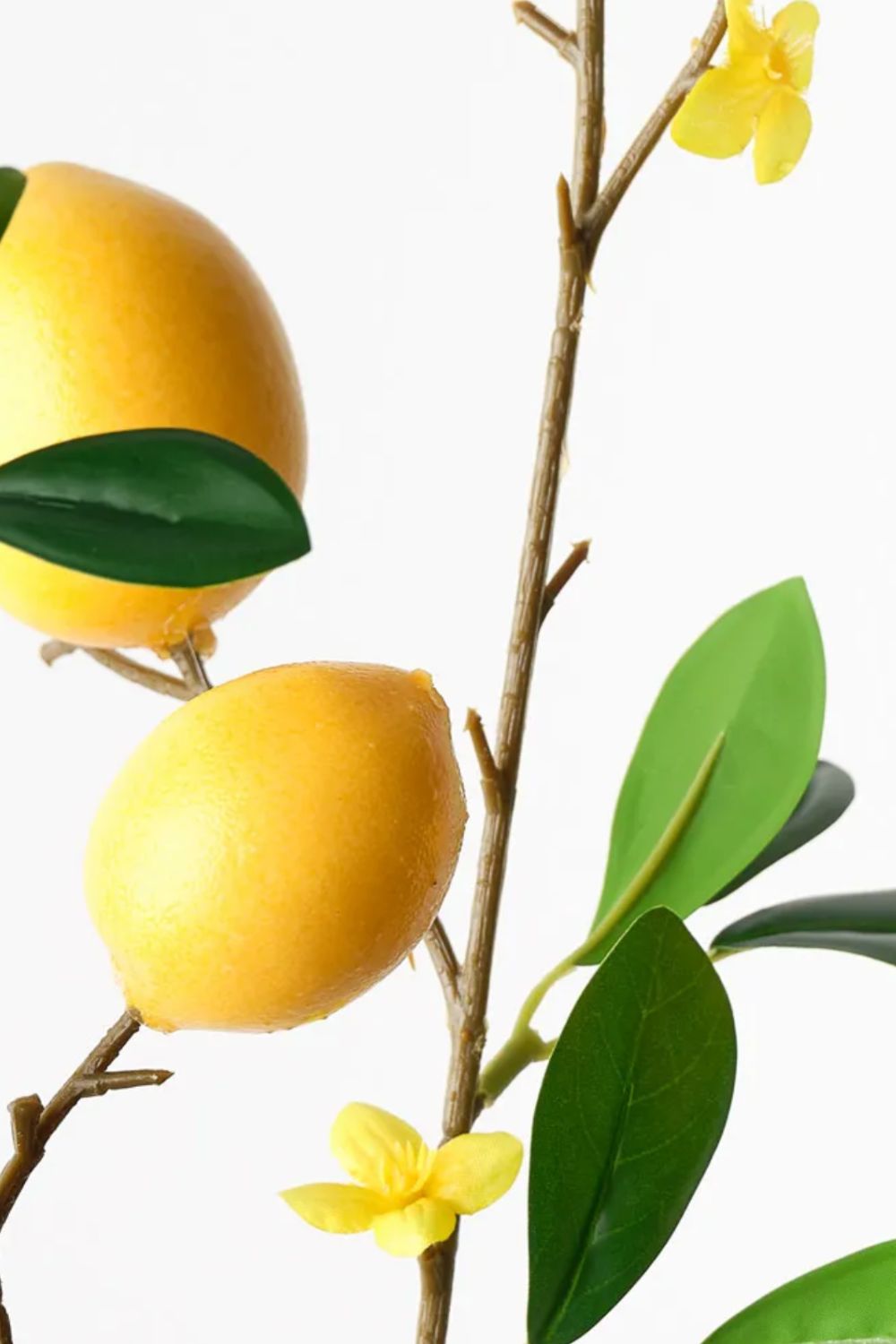 Lemon Spray - Crate Expectations