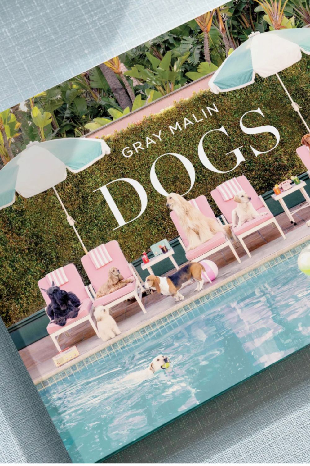 DOGS by Gray Malin