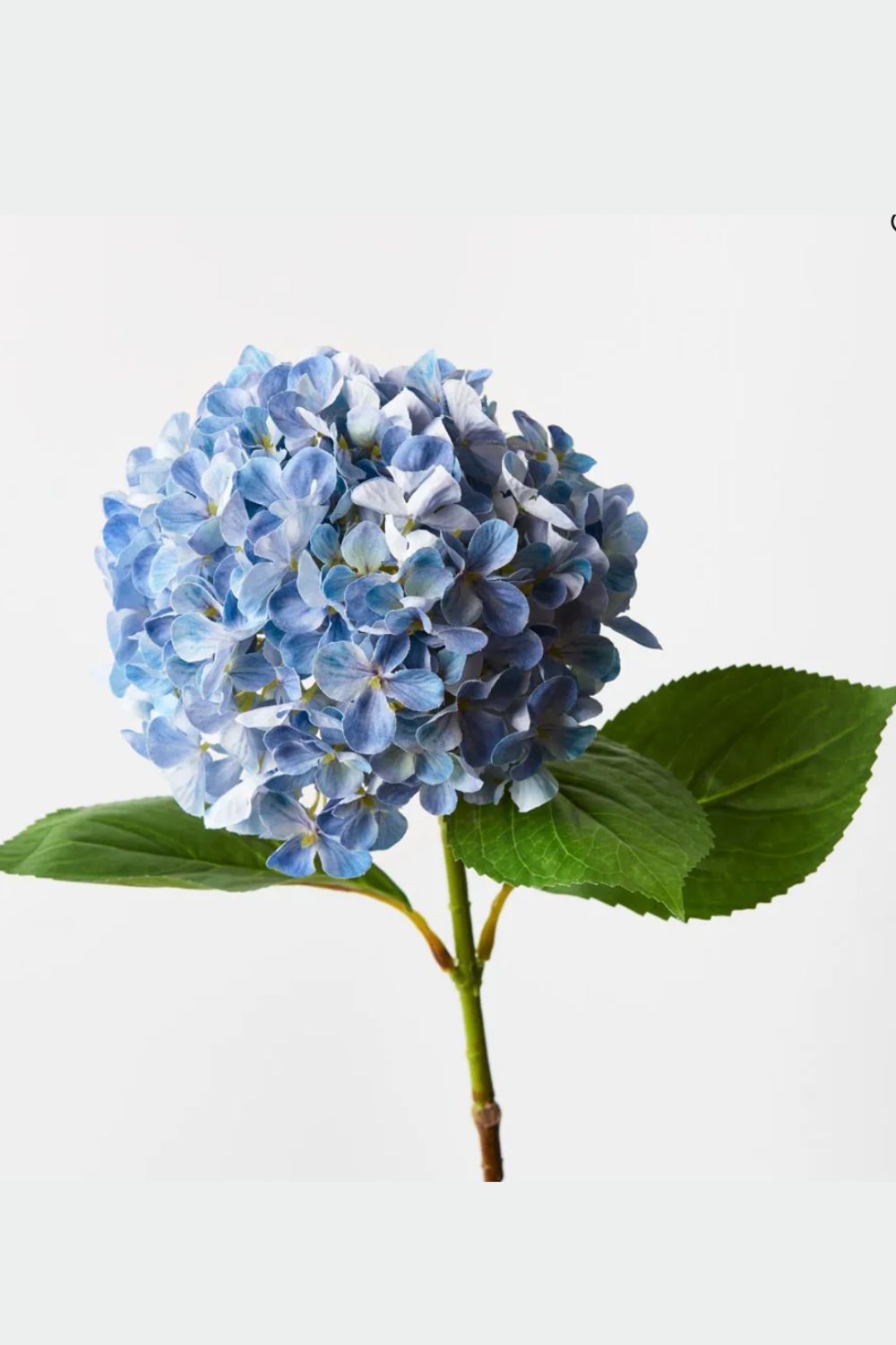 Hydrangea Blue 68cm