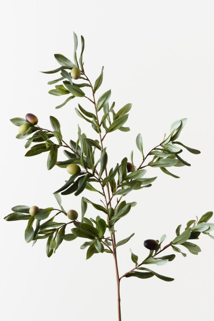 Olive Leaf Spray