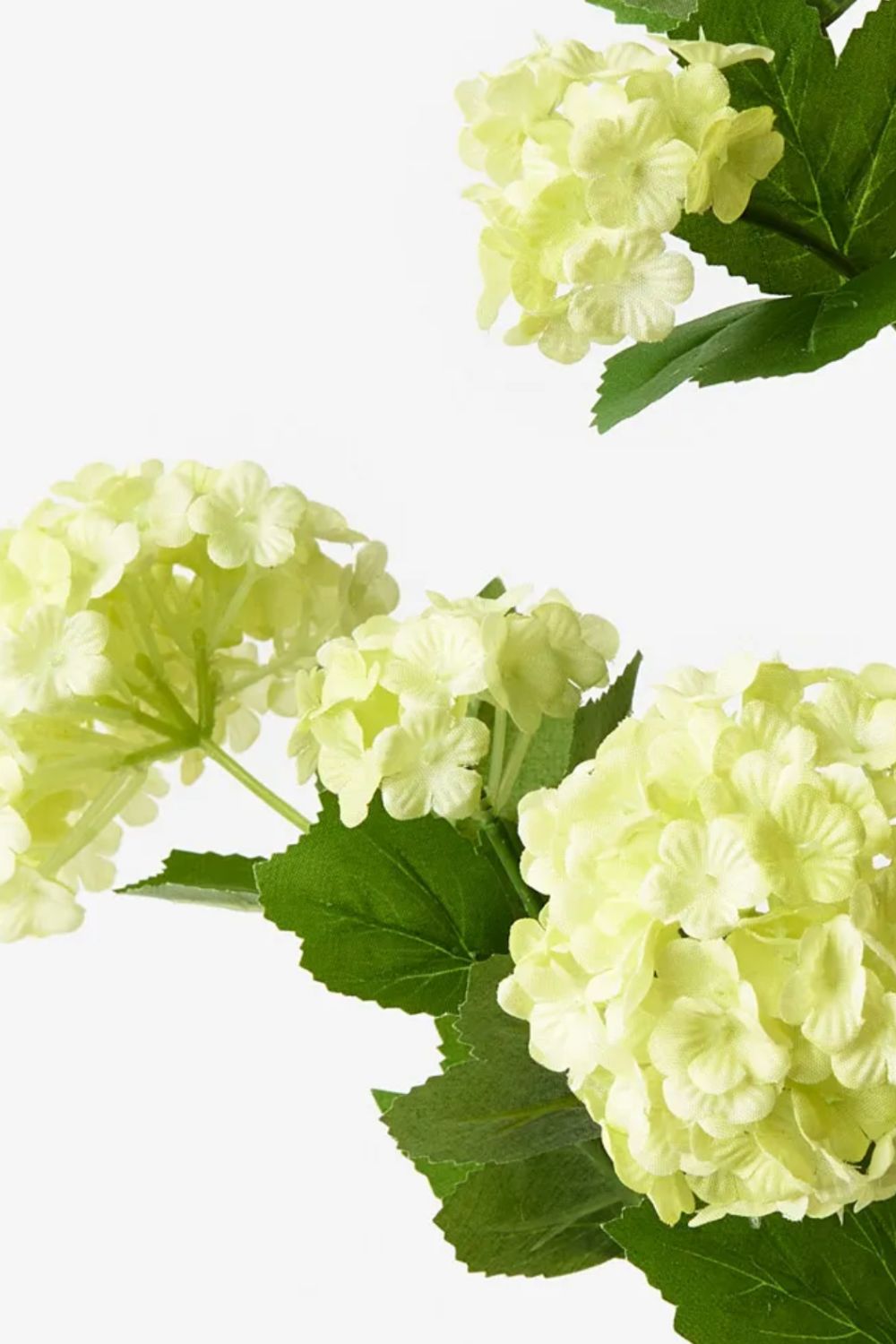 Snowball Spray Light Green - Crate Expectations