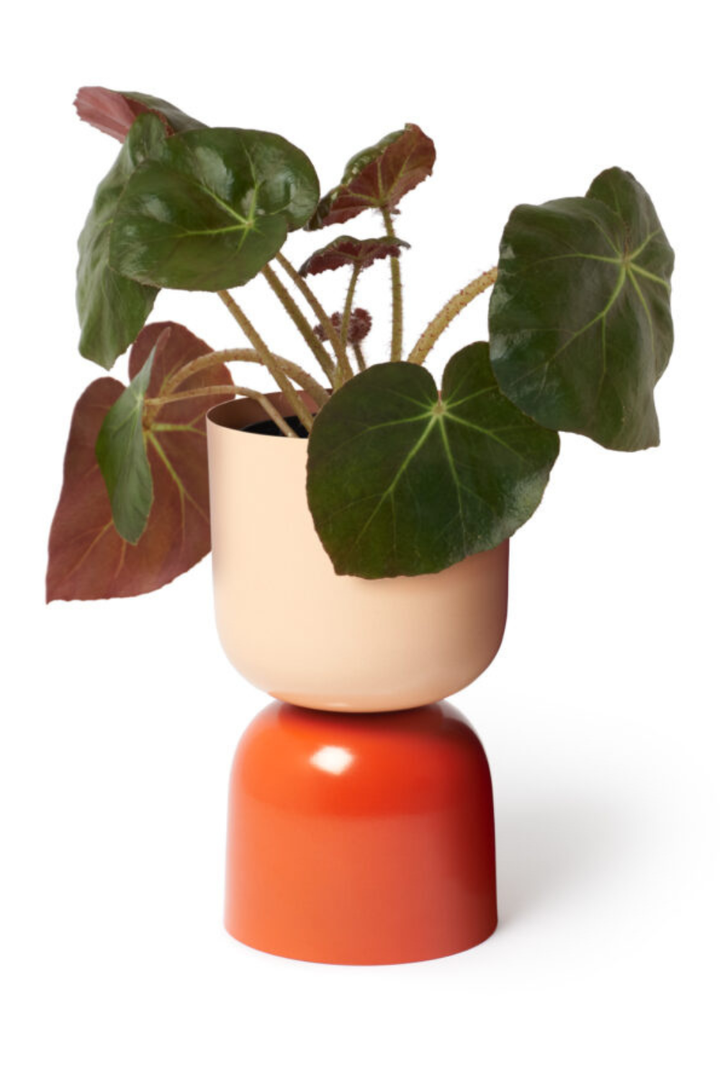 Tone Planter Sunset