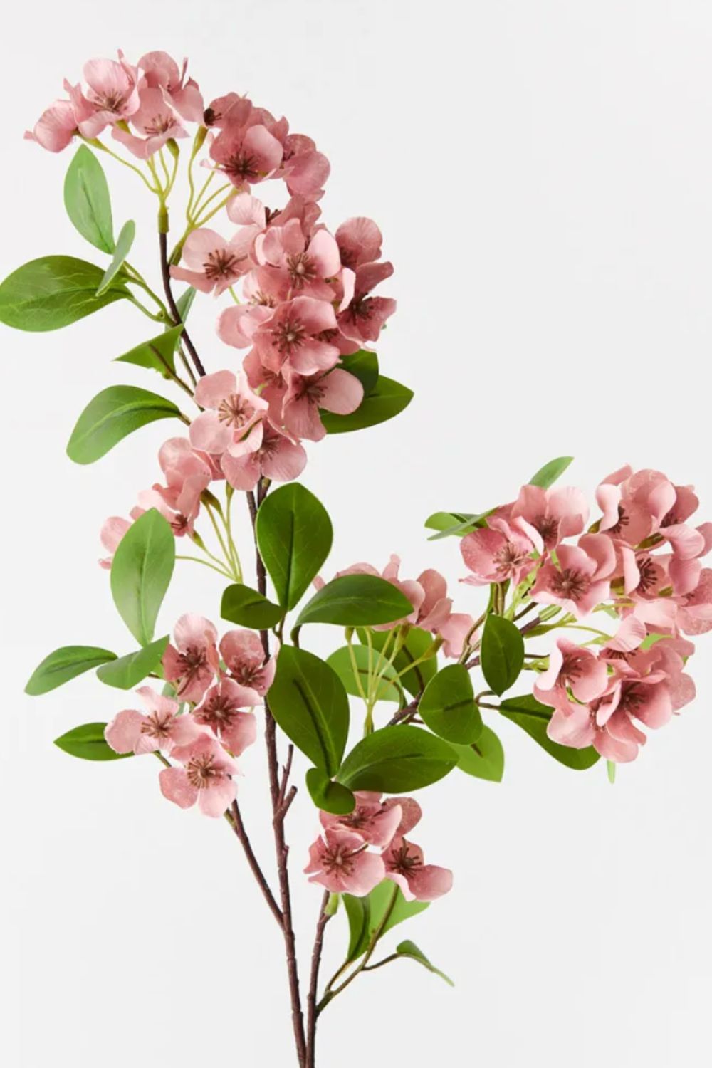 Snow Flower Spray Pink