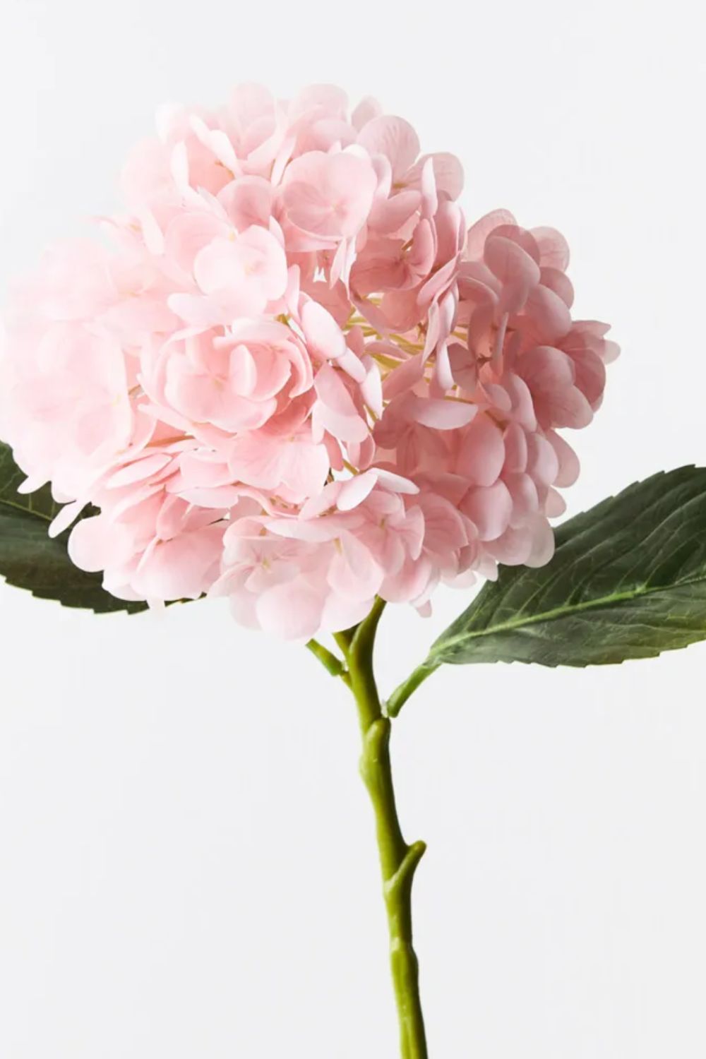 Hydrangea Pale Pink 49cm