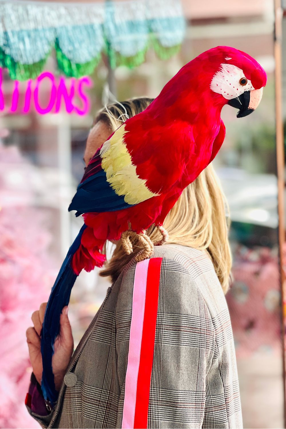 RORY THE GIANT PARROT