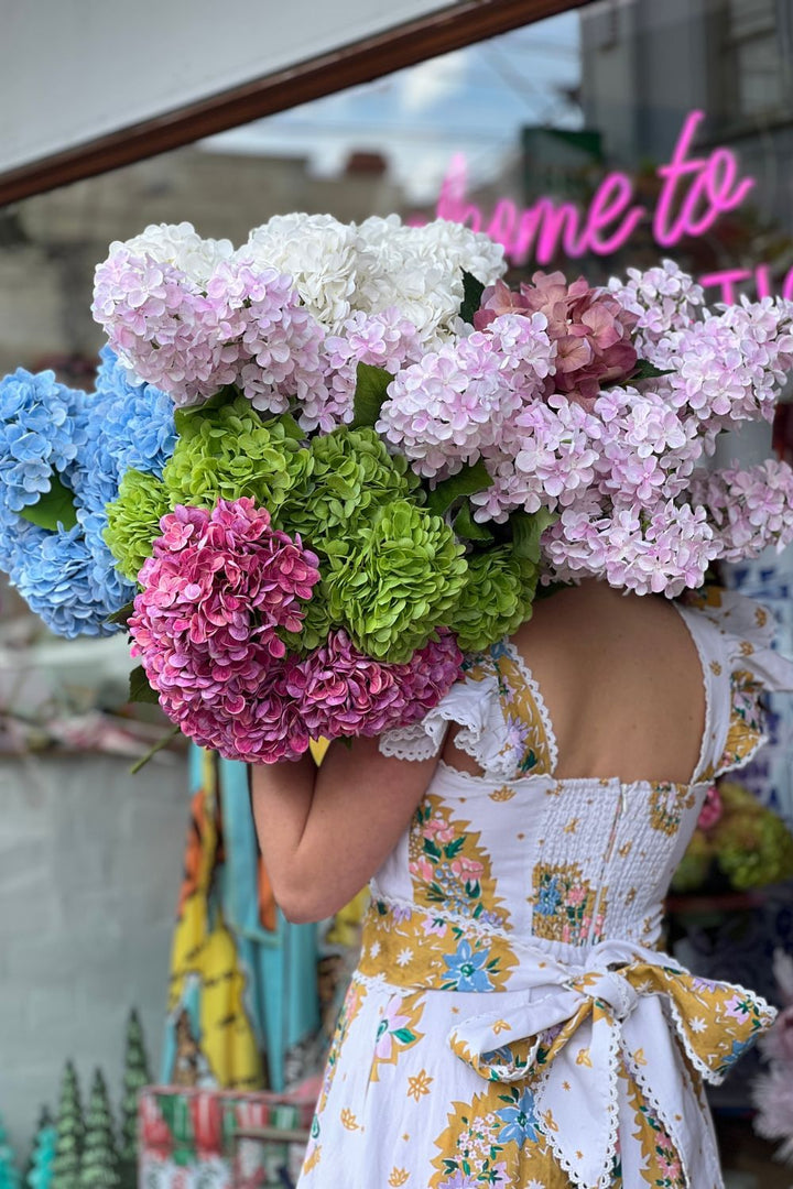 Hydrangea Pink Mauve