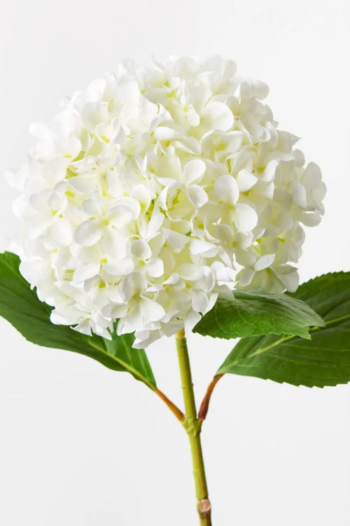 Hydrangea White 68cm
