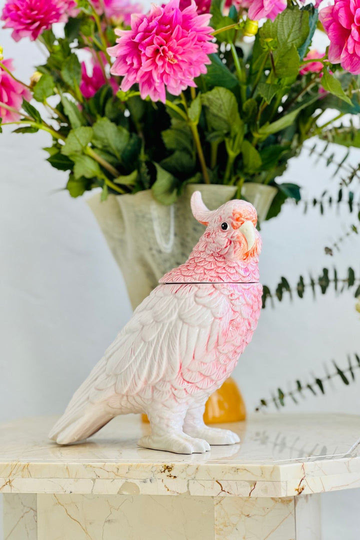 Pink Polly Cockatoo
