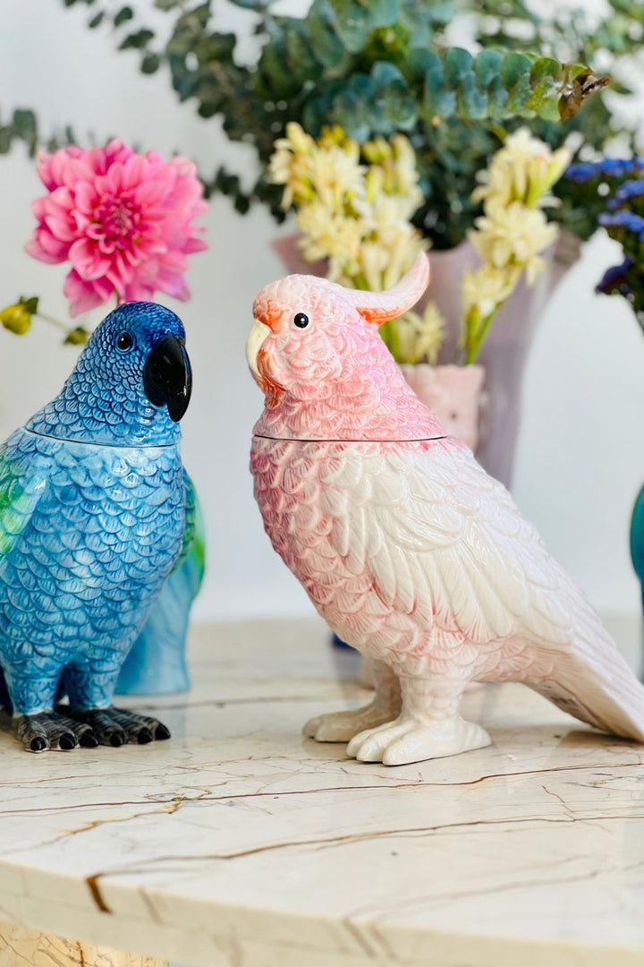 Pink Polly Cockatoo