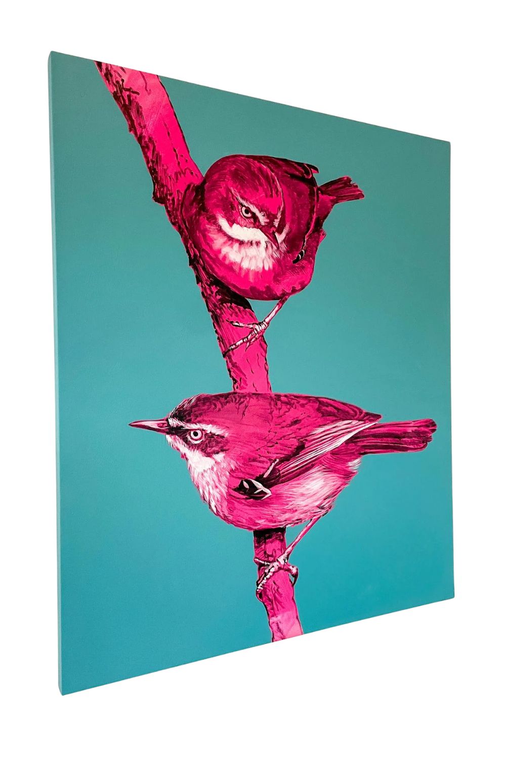 Australian Wren Study: White Browed Scrubwren- Geoffrey Carran