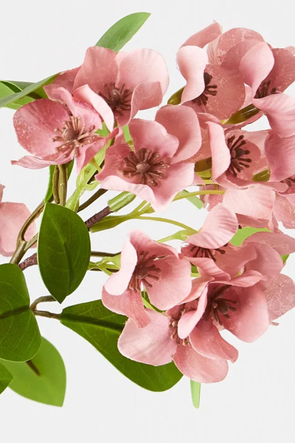 Snow Flower Spray Pink