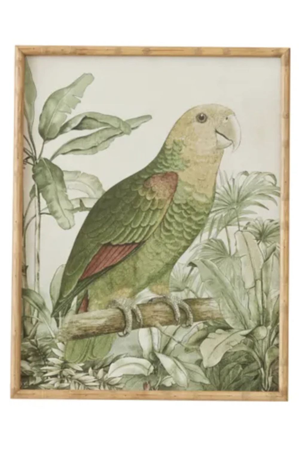 Parrots Glass Framed Prints - Crate Expectations