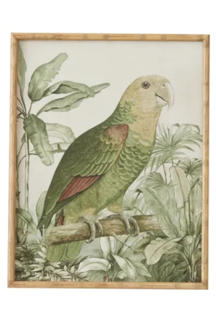 Parrots Glass Framed Prints - Crate Expectations
