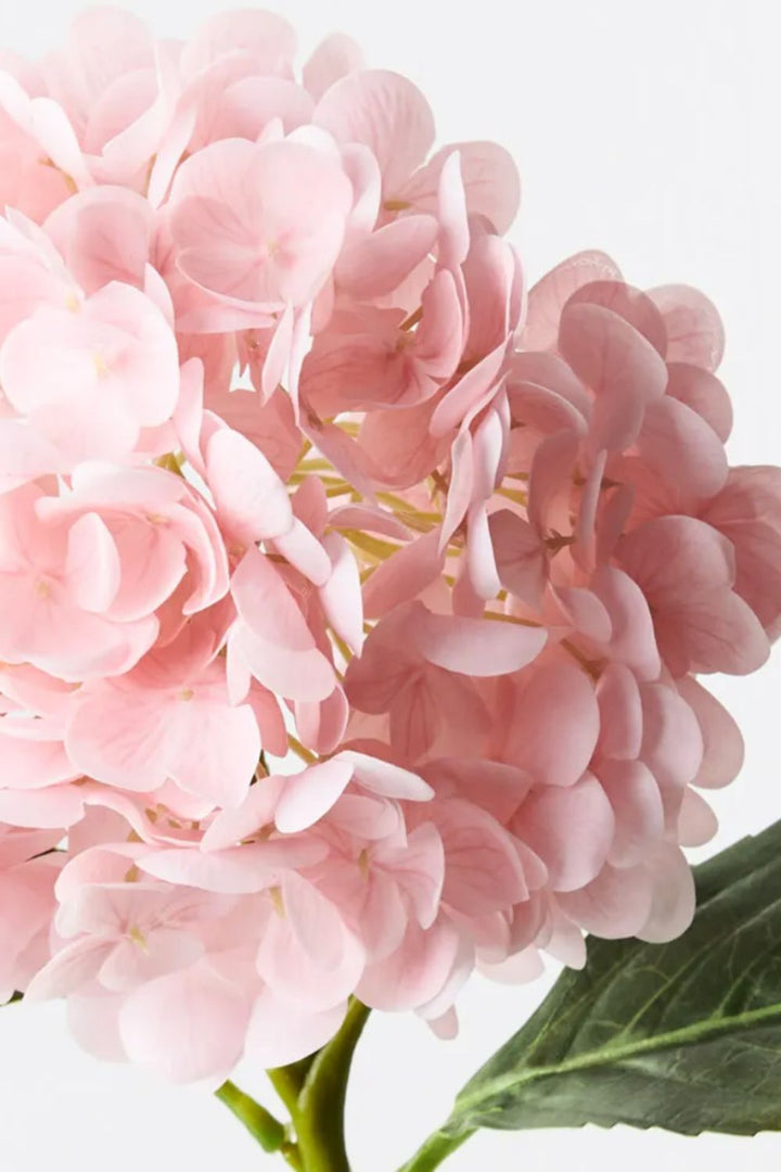 Hydrangea Pale Pink 49cm
