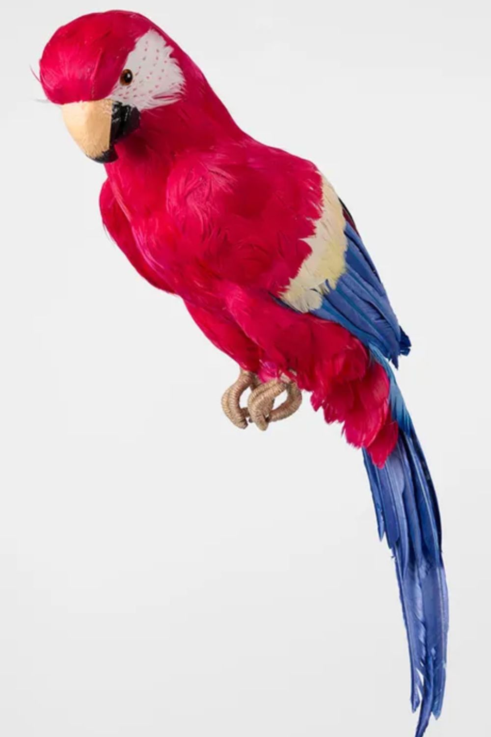 RORY THE GIANT PARROT