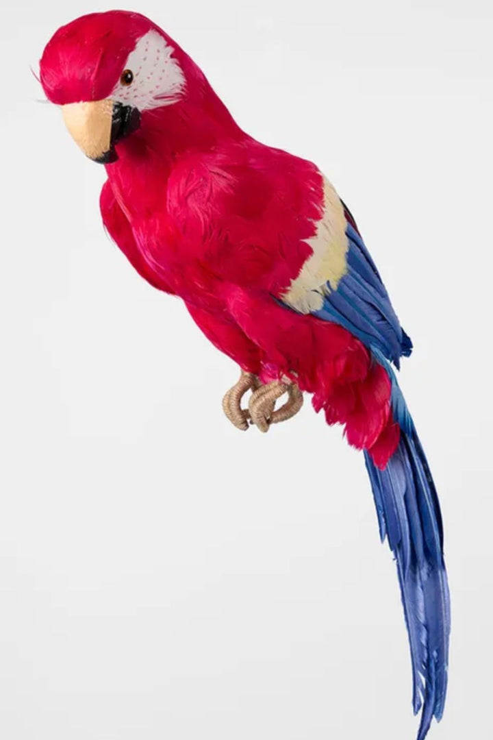 RORY THE GIANT PARROT