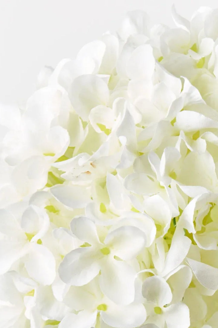 Hydrangea White 68cm