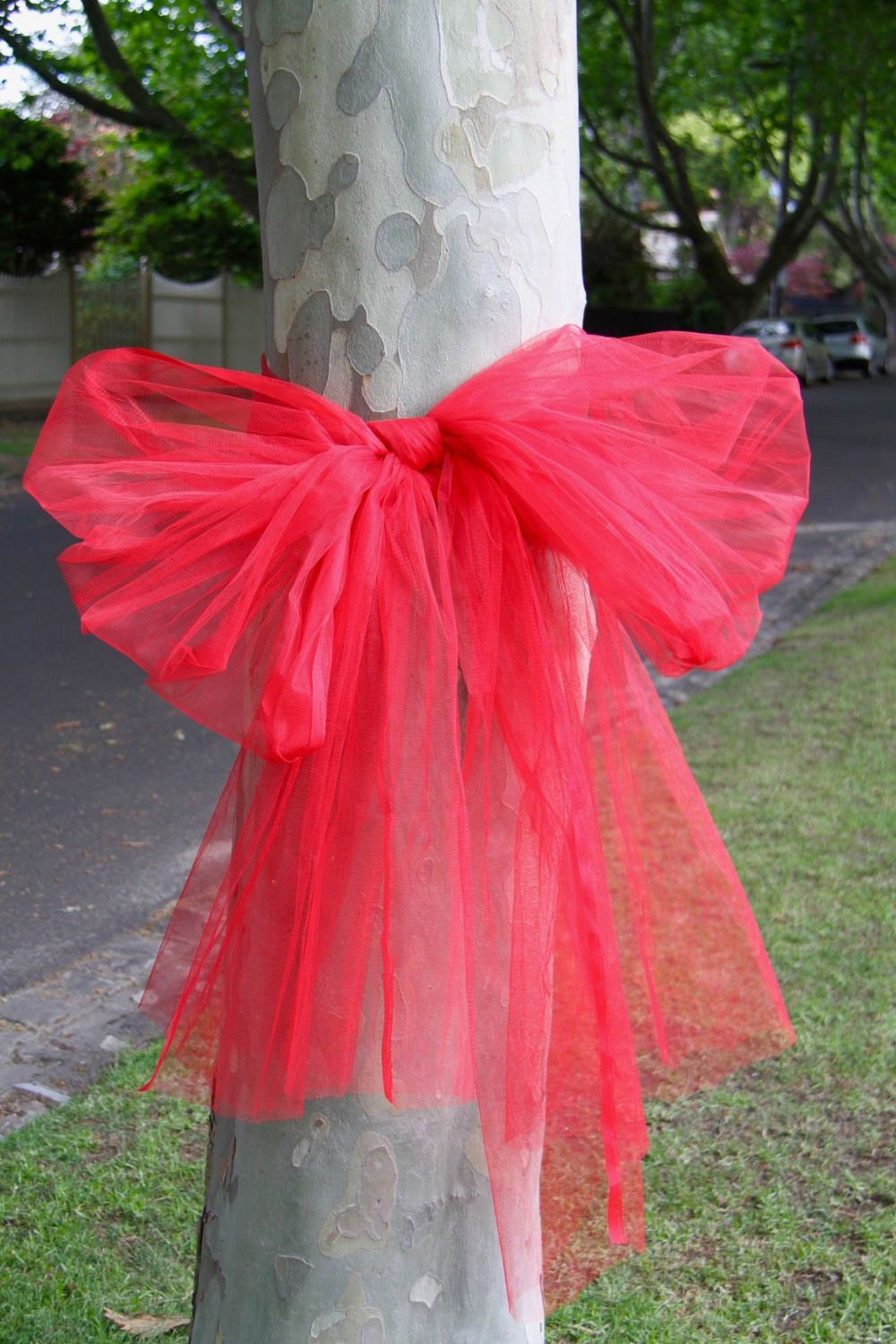 BIG RED TREE BOWS