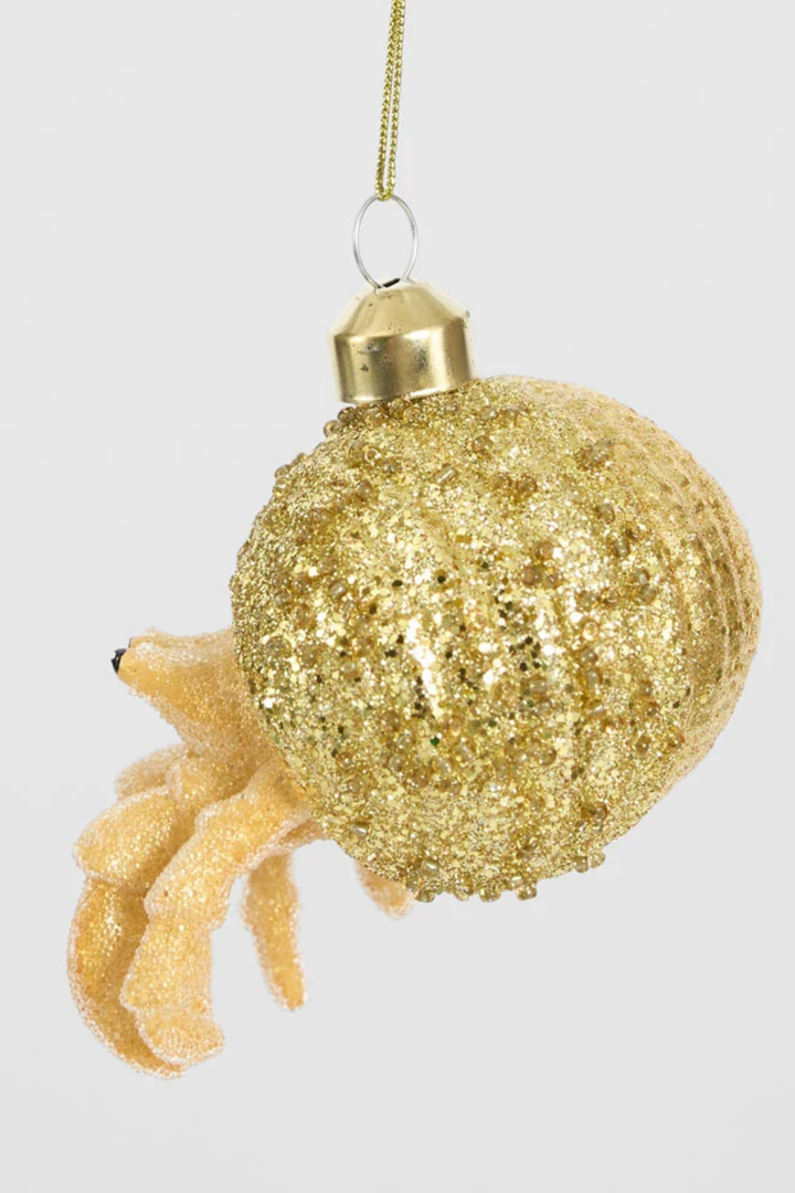 Hermit Crab Decoration