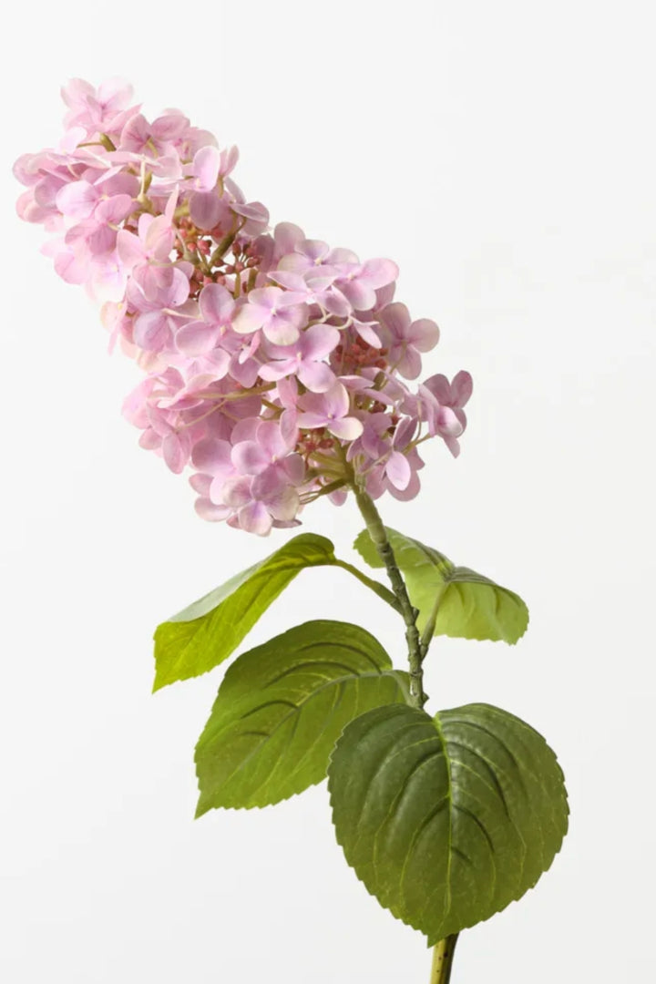 Hydrangea Cone Dusty Pink