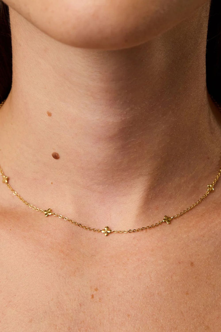 Laeta Necklace - Crate Expectations