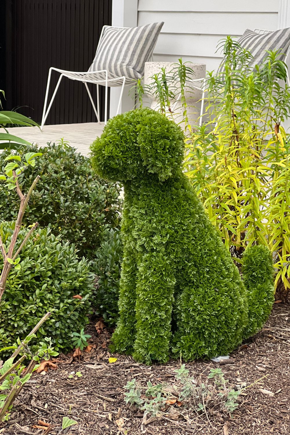 MAX Topiary Cypress Dog (UV Treated) - Green