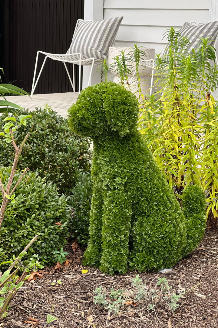 MAX Topiary Cypress Dog (UV Treated) - Green
