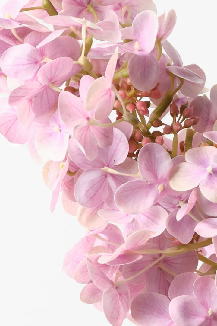 Hydrangea Cone Dusty Pink