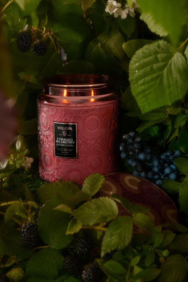 VOLUSPA Foraged Wildberry 100hr Candle