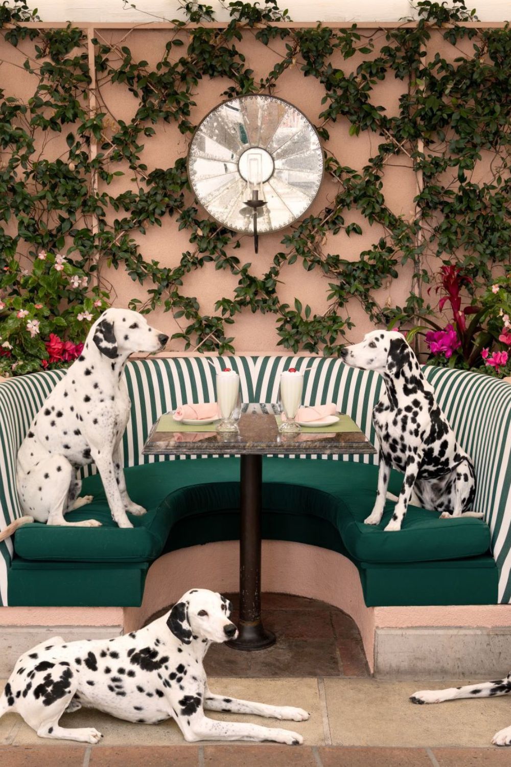 DOGS by Gray Malin