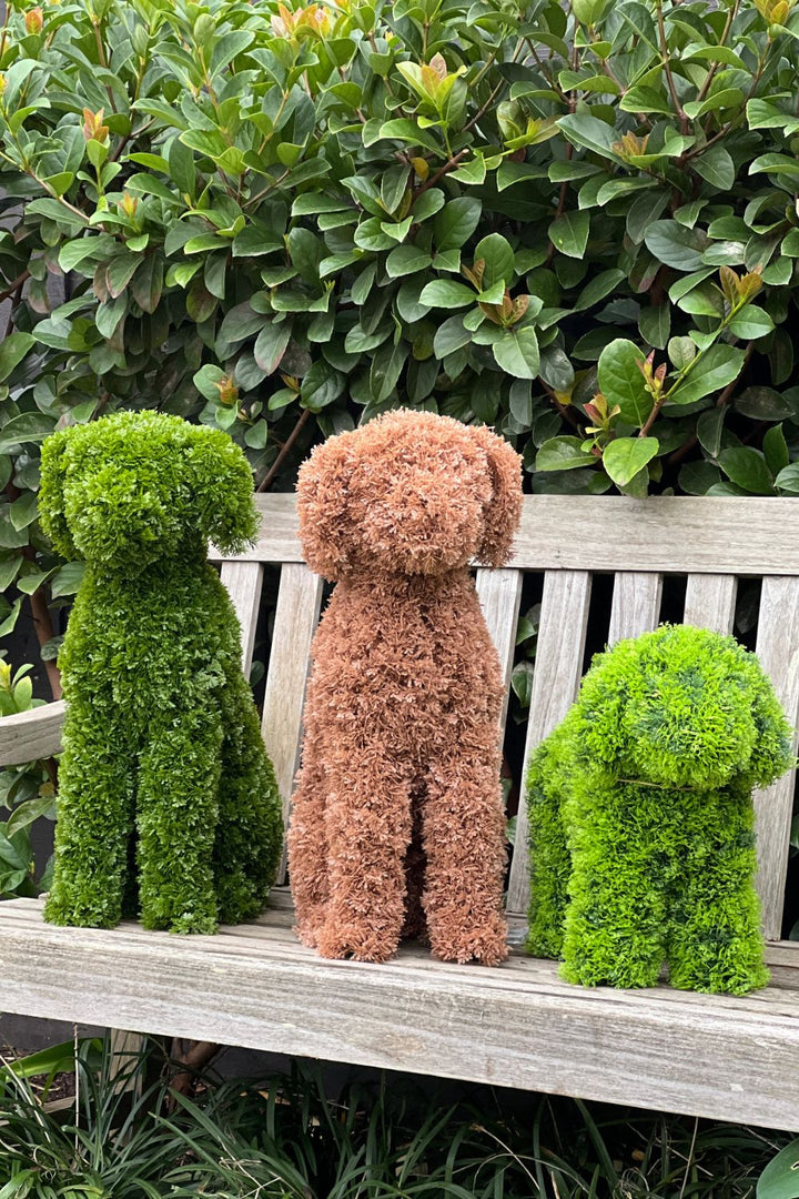 LUNA Topiary Cypress Puppy -