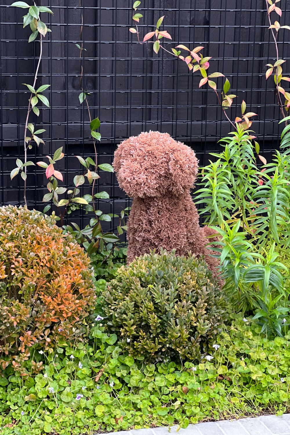 MILO Topiary Cypress Dog (UV Treated) - Light Brown